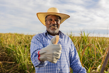 Black farmer happy with sugar cane crop making thumbs up with hand and smiling. Brazilian farmer....