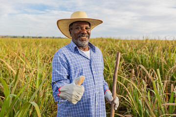 Black farmer happy with sugar cane crop making thumbs up with hand and smiling. Brazilian farmer....