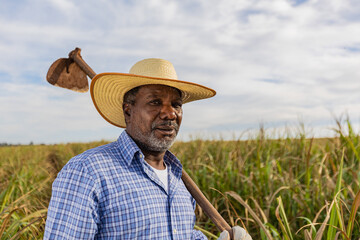 Black farmer smiling, with a hoe in his hands. Brazilian farmer. Family farming. Sugar cane. Closed...