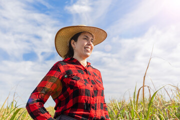 Obraz premium Caucasian woman farmer celebrating good harvest on a sugar cane farm. bumpkin.