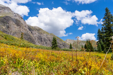 Obraz premium Views hiking in the San Juan Mountain range in southern Colorado.