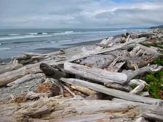 Fototapeta na wymiar Olympic National Park - Pile of Driftwood on Kalaloch Beach