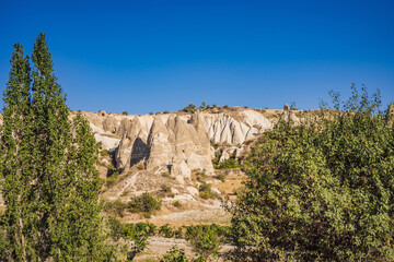 Fototapeta premium Unique geological formations in Love Valley in Cappadocia, popular travel destination in Turkey