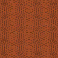  Hexagonal Maze pattern abstract illustration