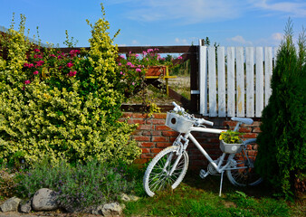 wintage, drkoracja kwietnik na starym, białym rowerze, rośłiny ogrodowe i biały rower,...