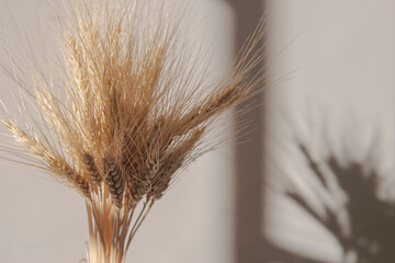 ear of wheat