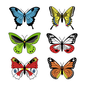Set of colorful butterflies. Collection of insects. Vector linear cartoon illustration isolated on white background