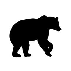 silhouette of a bear