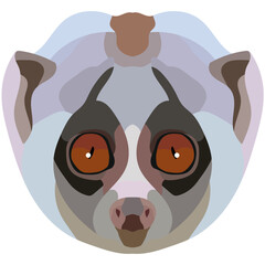 lori face. The muzzle of a slow mammal with large eyes is depicted. Bright portrait on a white background. predictive graphics. animal logo.