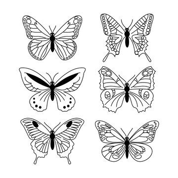 Butterfly outline set. Collection of silhouettes of insects. Vector linear illustration isolated on white background