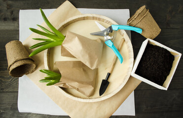 Spring on a wooden background early flowers hyacinths in paper bags, peat pots, earth for planting,...