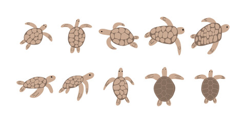 Turtle Character sea animal on deep background. Wild life illustration. Underwear world. Vector illustration.