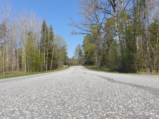 An empty road in the Swedish woods