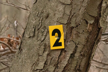 This little number 2 sign is to show the hiker what trail they are on. This is a trail marker and here to keep walkers from getting lost. This bright yellow sign is tacked to the tree.