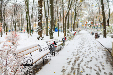Bench in the snow. Winter background, selective focus
