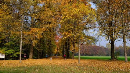 Autumn with his colour in the park
