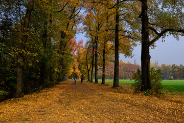 Autumn with his colour in the park