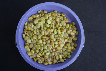 Camu camu fruit seeds (Myrciaria dubia) Myrtaceae family. Amazonas, Brazil.