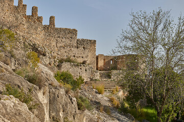 Fototapeta na wymiar Walls of an ancient stone fortress with a tree