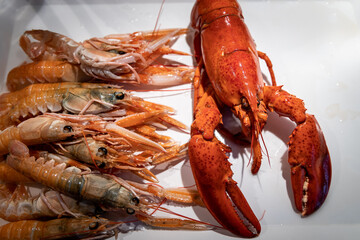 Slowfood - lobster and Norway lobster