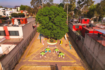árbol central de parque