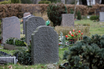 .Tombstones and fresh flowers in a cemetery