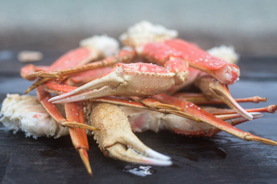 Fresh red king crab crab claws close-up. Tasty kamchatka crab's claw