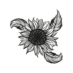 Sunflower drawing vector decoration with leaves. Line contour design flower silhouette graphic