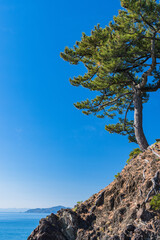 日本　高知県高知市浦戸の桂浜の竜王岬展望台