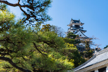 Fototapeta premium 日本 高知県高知市の公園内に建つ高知城の天守閣と追手門