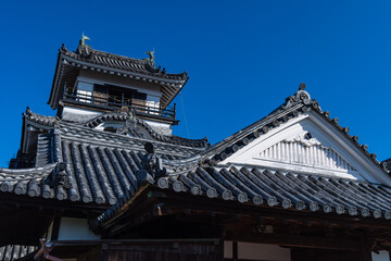 日本　高知県高知市の公園内に建つ高知城の天守閣と本丸御殿