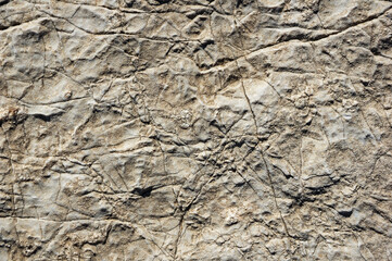 Cracked Rock Background