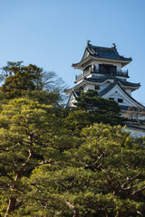 日本　高知県高知市の公園内に建つ高知城の天守閣