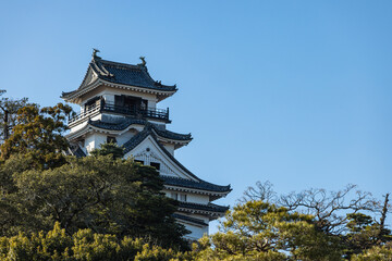 日本　高知県高知市の公園内に建つ高知城の天守閣