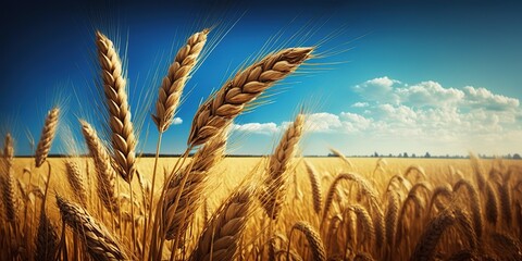 beautiful illustration of a field of ripe wheat against the blue sky, generative ai