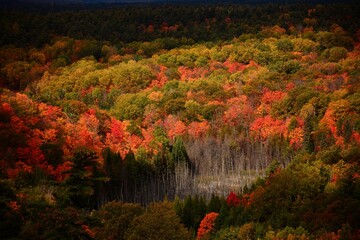 autumn in the mountains, Calabogie, Ontario, Canada