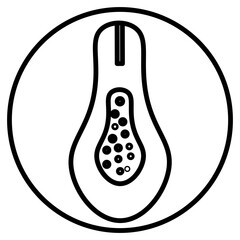 papaya illustration