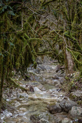 Ruisseau Riou Caillet, Vercors, Drôme, France
