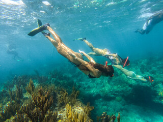 snorkeling in the ocean - obrazy, fototapety, plakaty