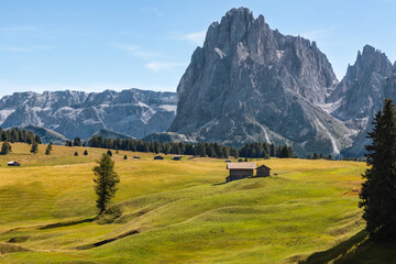 Scenic view of lonely wooden hut on Alpe di Siusi with Sassolungo mountain in the background framed...