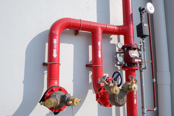 It may take up to 3 days for your approved content to be viewable elsewhere on the site.