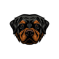 rottweiler head vector full color