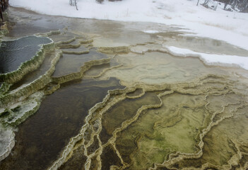 Yellowstone Mammoth Hot Springs terrace
