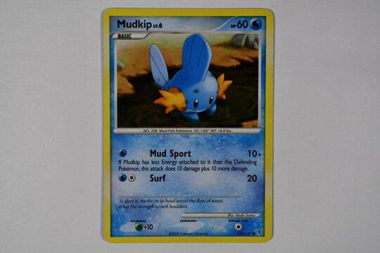 Pokemon trading card, Mudkip.