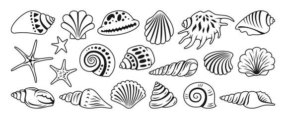 Sea shell sink doodle cartoon set. Ocean exotic underwater seashell conch aquatic mollusk, sea spiral snail marine starfish symbol collection. Tropical beach shells nature aquatic design illustration