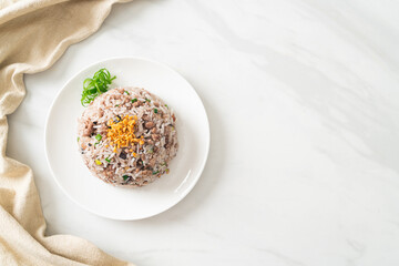 Salted Chinese Black Olive Fried Rice with Minced Pork