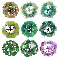Architectural plans trees. Bushes and shrubs, top view for landscape design plan. Illustration PNG.