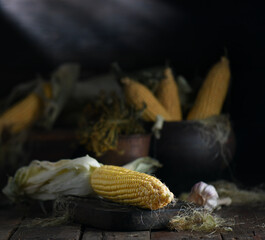 corn cobs on a dark wooden background.