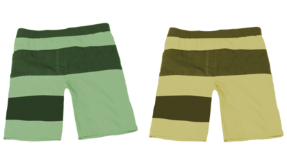 swimsuit pants isolated