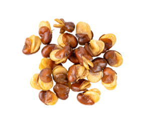 Broad bean seeds isolated on transparent png